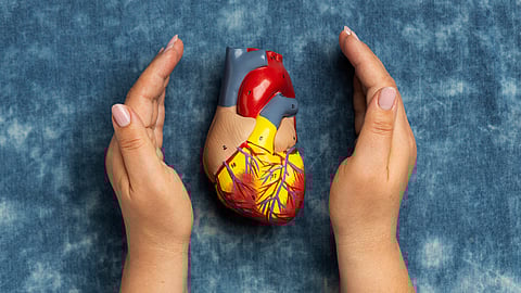 അവയവക്കച്ചവടം: പ്രധാന പ്രതി മലയാളി, എൻഐഎ ചോദ്യം ചെയ്യുന്നു | Organ trafficking Malayali arrest