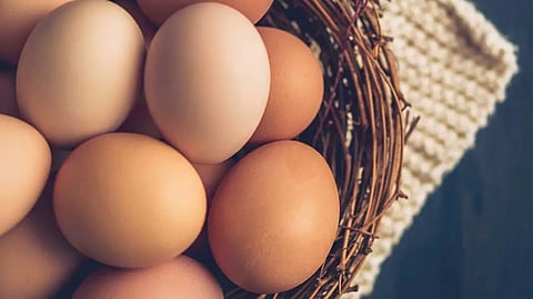 egg rate incresed in kerala