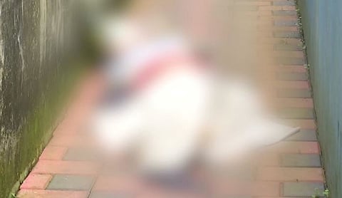 woman dead body found in kochi