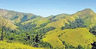 Idukki encroachment area