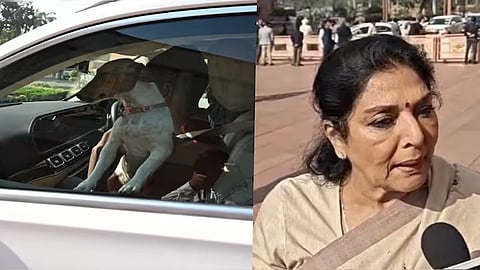 കടിക്കുന്നവർ സഭയ്ക്കുള്ളിലുണ്ടെന്ന് പ്രതികരണം