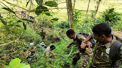 wayanad searching for tiger
