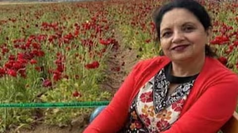 Indian-origin woman arrested green card interview after 30 years in US