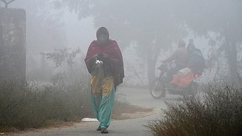 North India shivers in cold; 79 flights cancelled