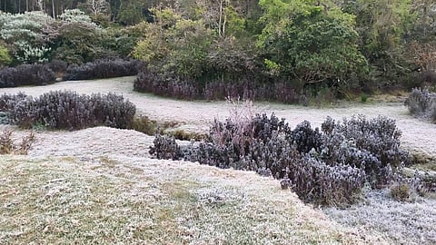 munnar sabarimala coldest weather