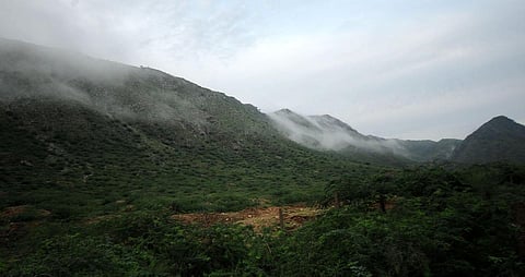 The Aravalli Mountains 