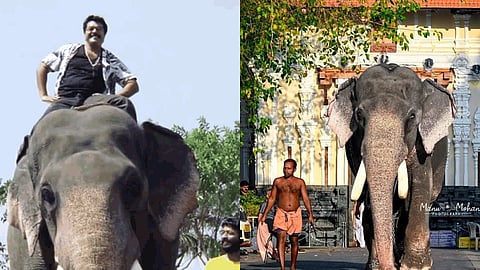 nellikkode mahadevan died the elephant in Turuppu Gulan
