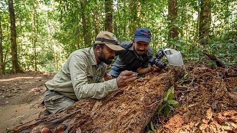 Operation theatre and dense forest: One life in two worlds