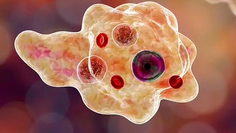 amoebic meningitis death@ kozhikode