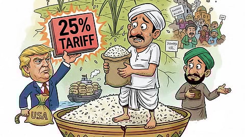 Iran, Trump tariff disrupt Indian Basmati rice