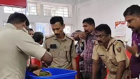 Packaged cannabis in a parcel