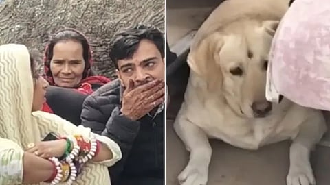 Bride's Pet Dog barks, Wedding Called Off