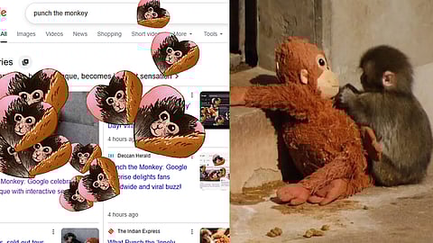 Type Punch the monkey , google surprise