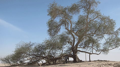 The highest ultraviolet index recorded in the state in 24 hours