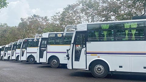 transport authority meeting change of tourist bus color