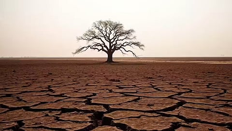 meterological agency predict el nino 