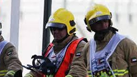 UAE announces training program to enhance defense capabilities