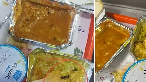 Cockroach in food; Railways fines contractor for Vande Bharat for Rs 10 lakh