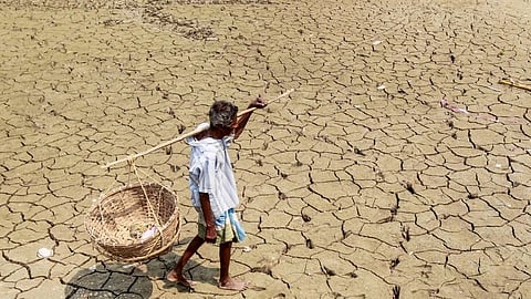 Kerala is scorching hot; temperature rises in Palakkad