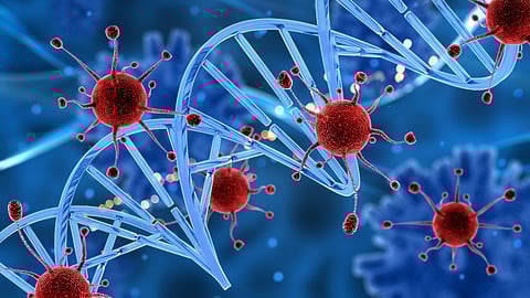 New Hope in Cancer Treatment