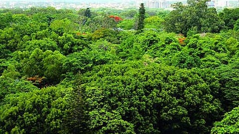 Forest guard team including women officers trapped in forest in Kothamangalam