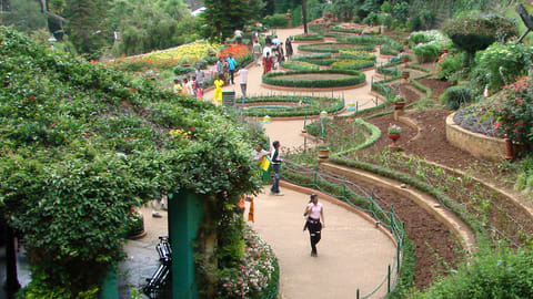 ooty traffic restrictions may 2026