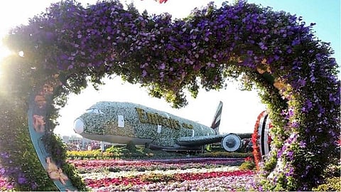 Free entry to Miracle Garden for families in the UAE