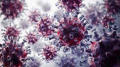 Active Covid cases in country dip to 1,549 