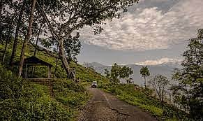 Ecoluxe Mountain Mist, Badamtam Tea Estate