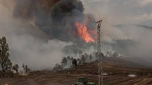 wildfire on the Canary island of La Palma