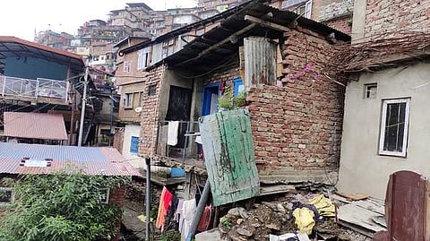 Landslide in Shimla's Krishna Nagar area leaves several animals dead, declared a containment zone