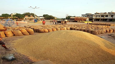 Kerala farmers