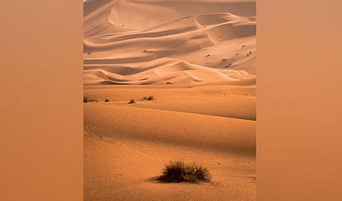 Is it finally understood why the Sahara Desert was green at times?