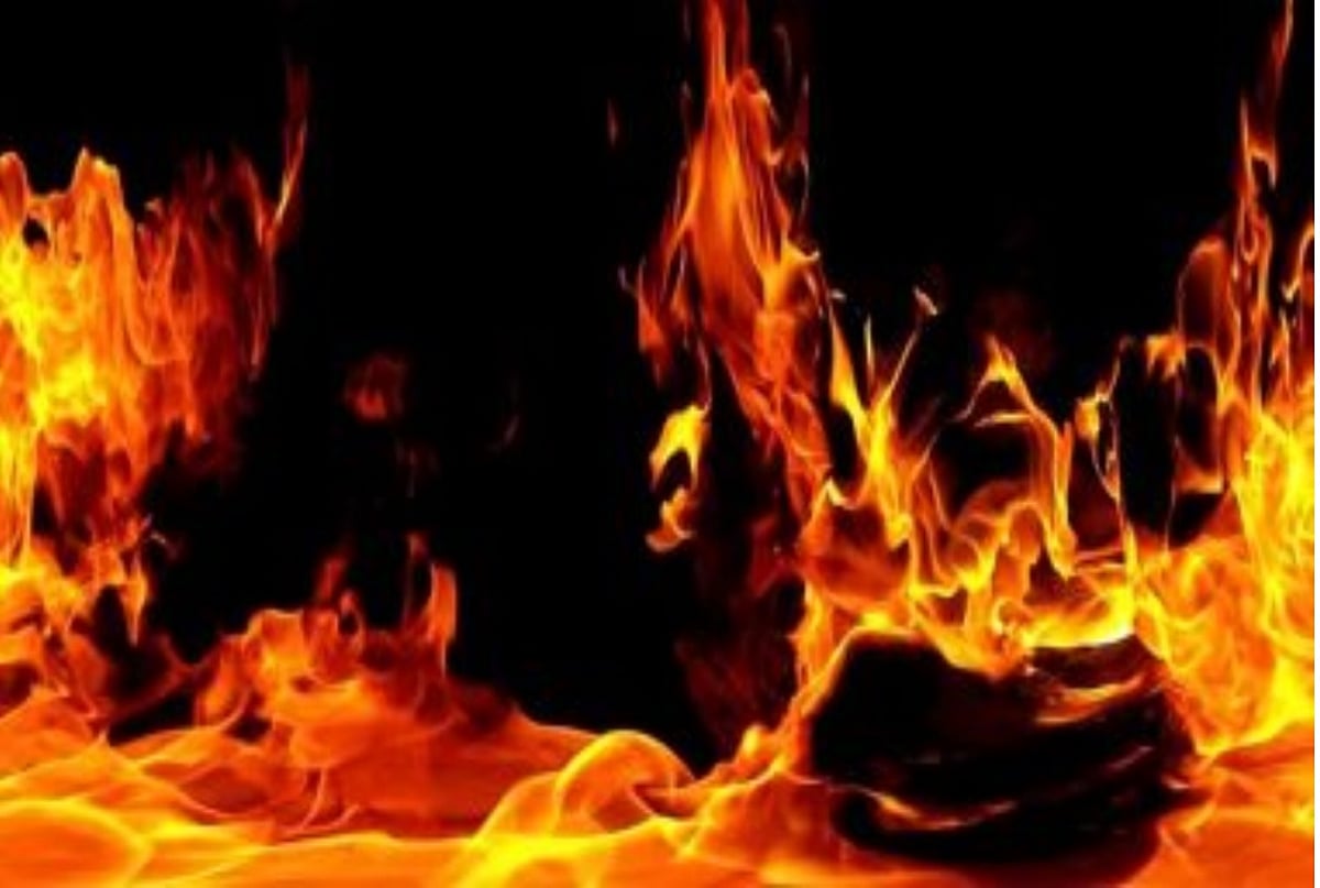 metrovaartha.com - Other - News Image