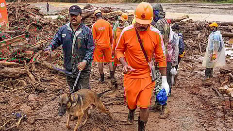 Searching for trapped people using deep search radars