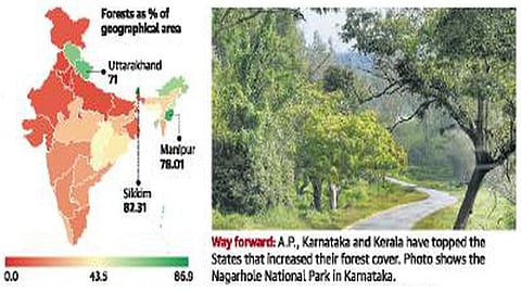 India - Forest cover
