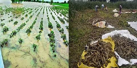 More than 9,000 farmers, fishermen affected by unseasonal rains in Palghar 