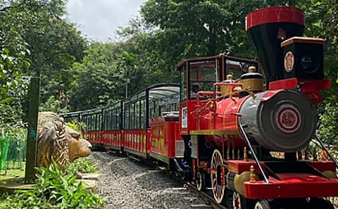 Van Rani toy train
