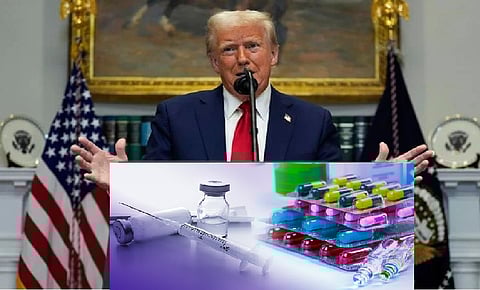 President Donald Trump
