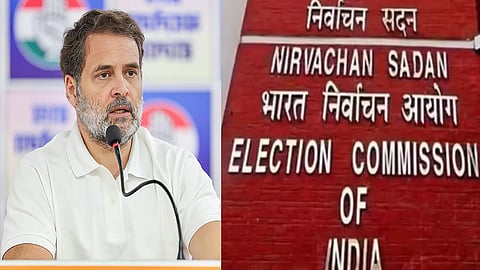 'Ignore baseless allegations'