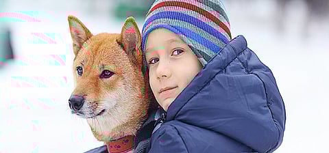 Representative image