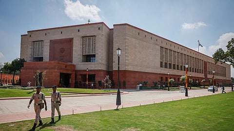 Parliament's 'number 01' tree poses security challenge