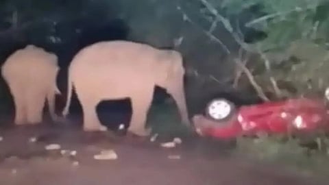 Athirappilly, Thrissur, Kerala