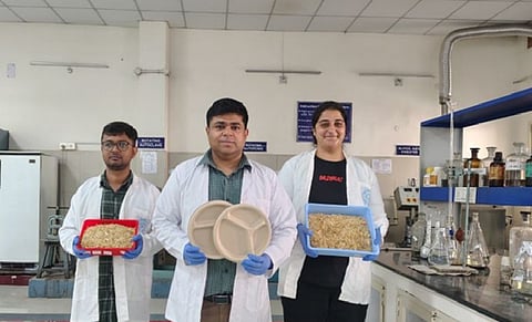 IIT Roorkee develops tableware from wheat straw