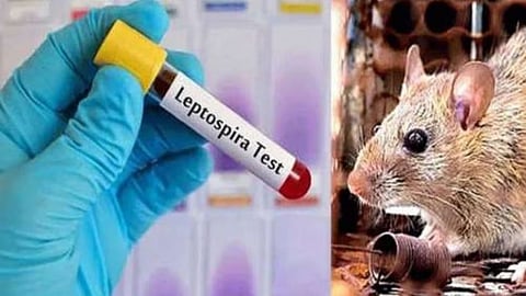 Boy dies of suspected leptospirosis