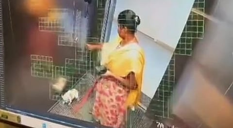 CCTV visual showing housemaid killing employer's pet dog inside lift