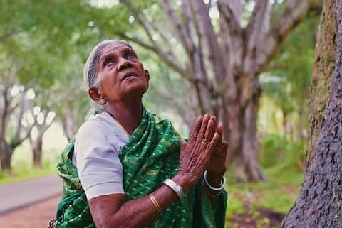 ‘Saalumarada’ Thimmakka 