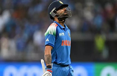 Proteas on leather hunt, make 349/8