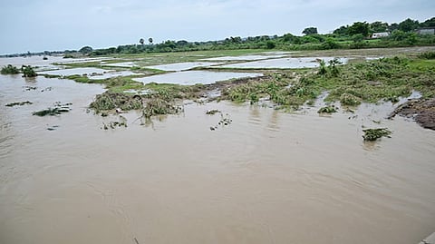 Rain-related incidents in TN; 57,000 hectares of farmland affected