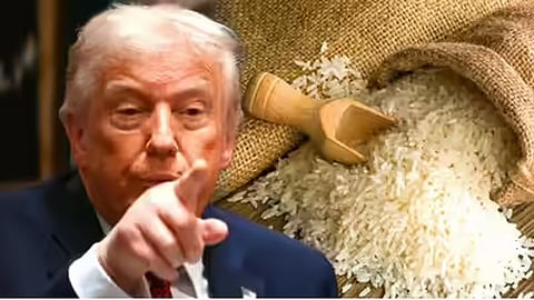 India should not be dumping rice into US market